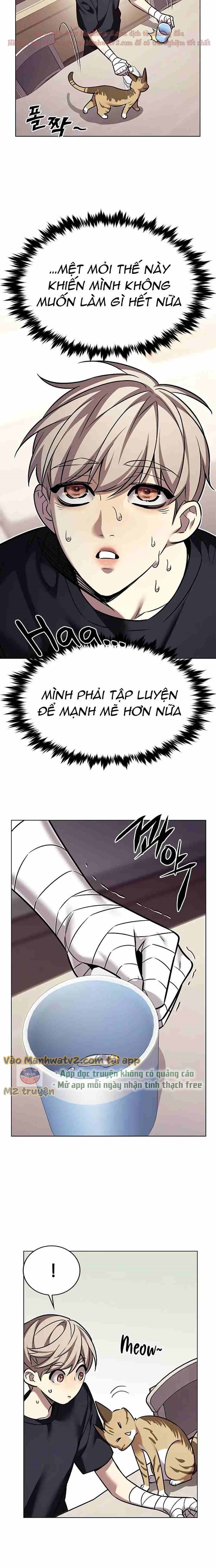 Đọc truyện Hóa thân thành mèo (Bản Free) - Chap 305